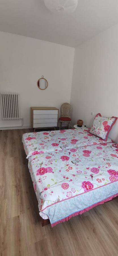 Appartement Jean Jaures Refait A Neuf トゥール エクステリア 写真